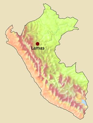 Lamas