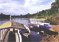 Tambopata river