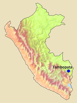 Nationalreservat Tambopata
